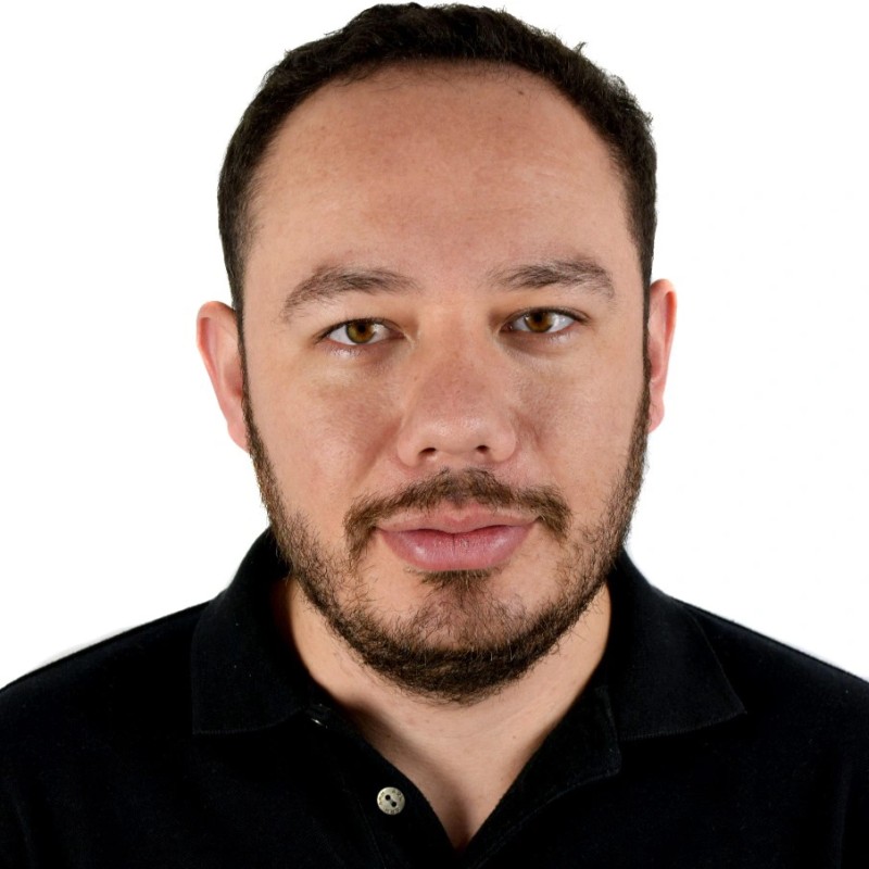 Ing. David Ramírez Ledezma